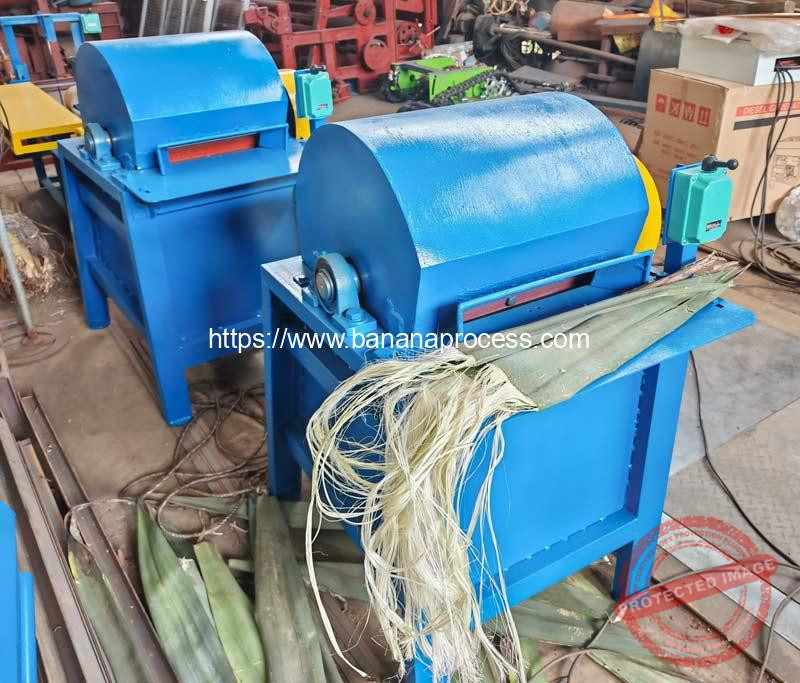 Semi-Automatic-Sisal-Fiber-Extracting-Making-Machine-for-Nigeria-Customer